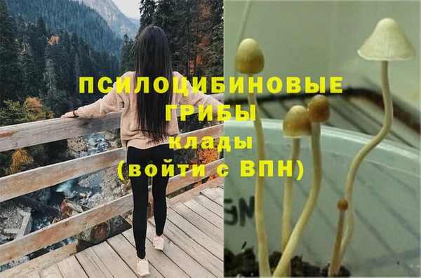 прущая мука Армянск