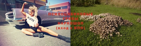 кокс Аркадак
