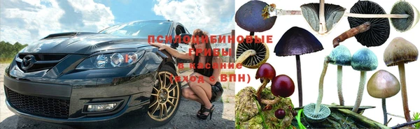 прущая мука Армянск