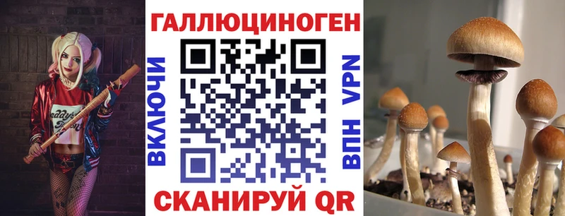 наркота  Сорочинск  Псилоцибиновые грибы MAGIC MUSHROOMS 