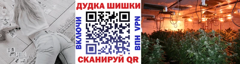 Шишки марихуана марихуана  купить  сайты  Сорочинск 